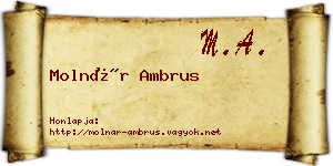 Molnár Ambrus névjegykártya
