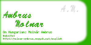 ambrus molnar business card
